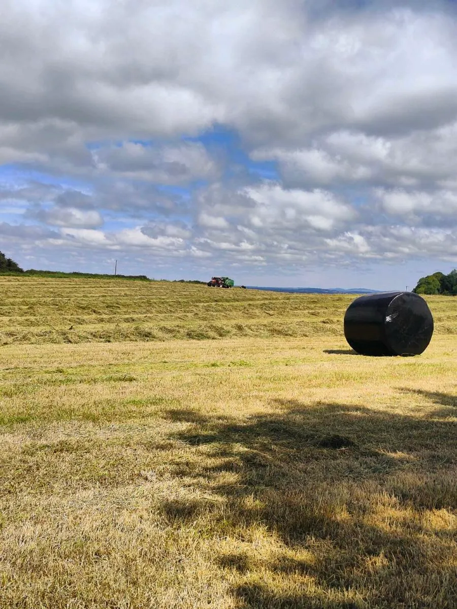 Silage - Image 2