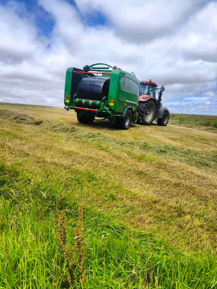 Silage - Image 3