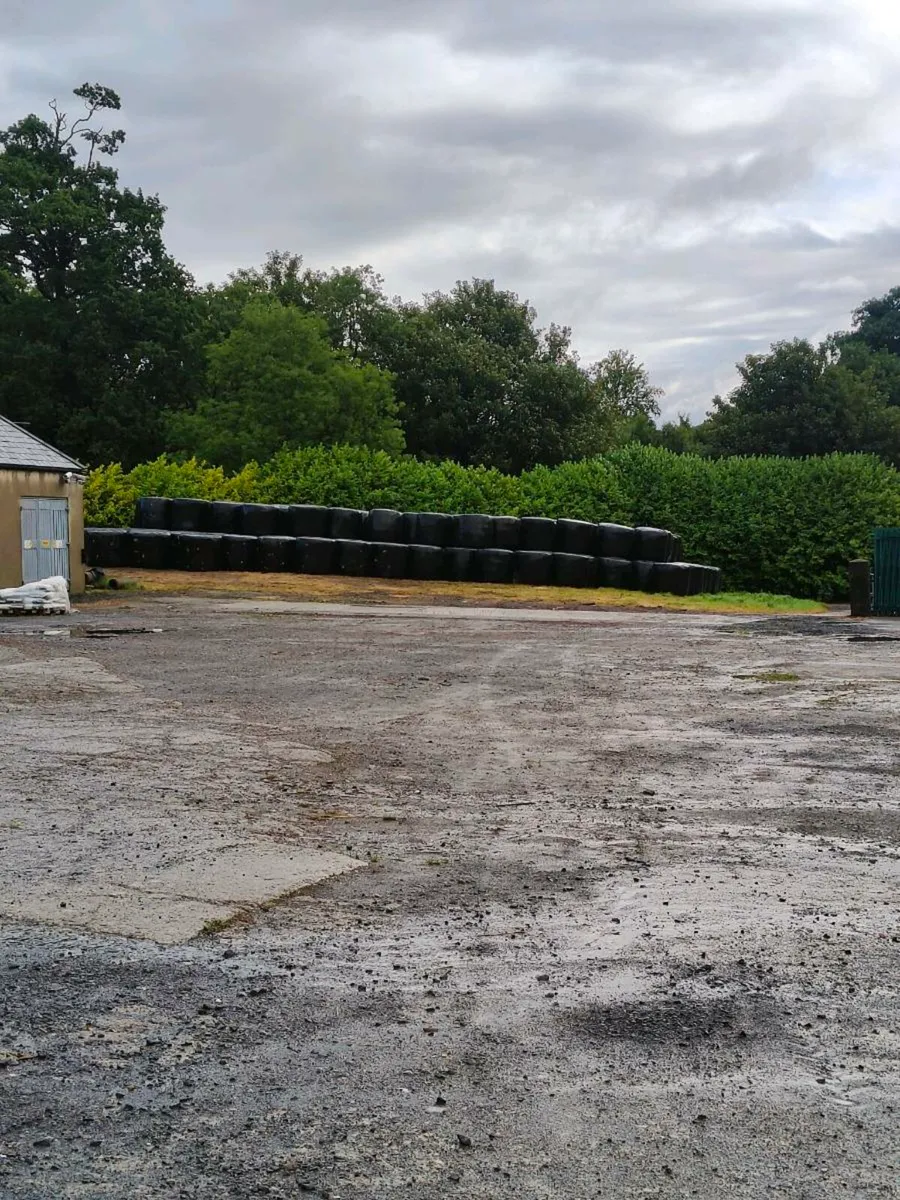Silage - Image 4