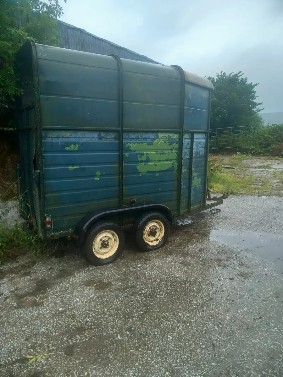 single horse box - Image 3