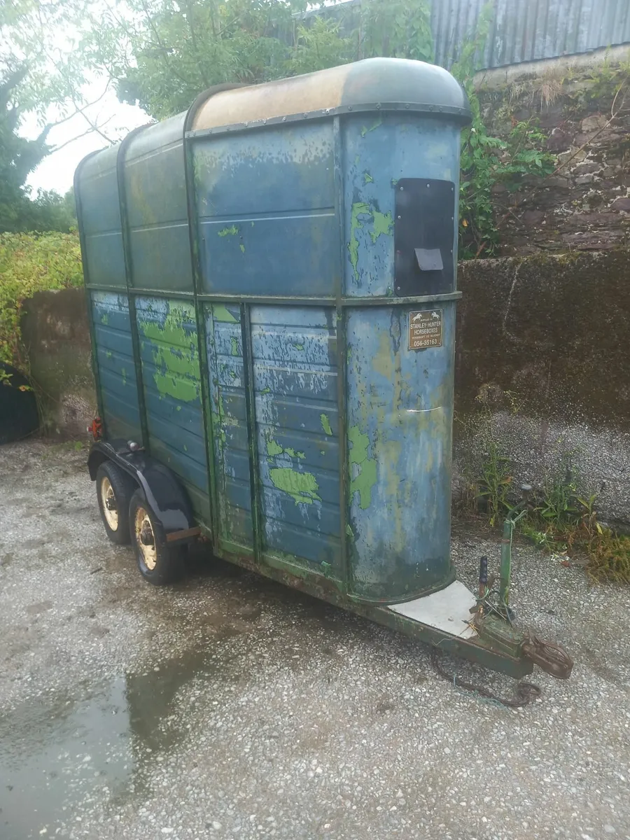 single horse box - Image 4