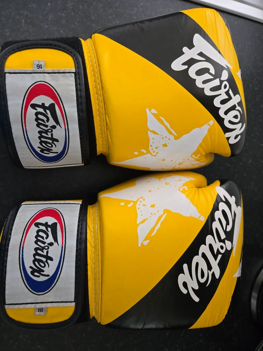 Fairtex gloves