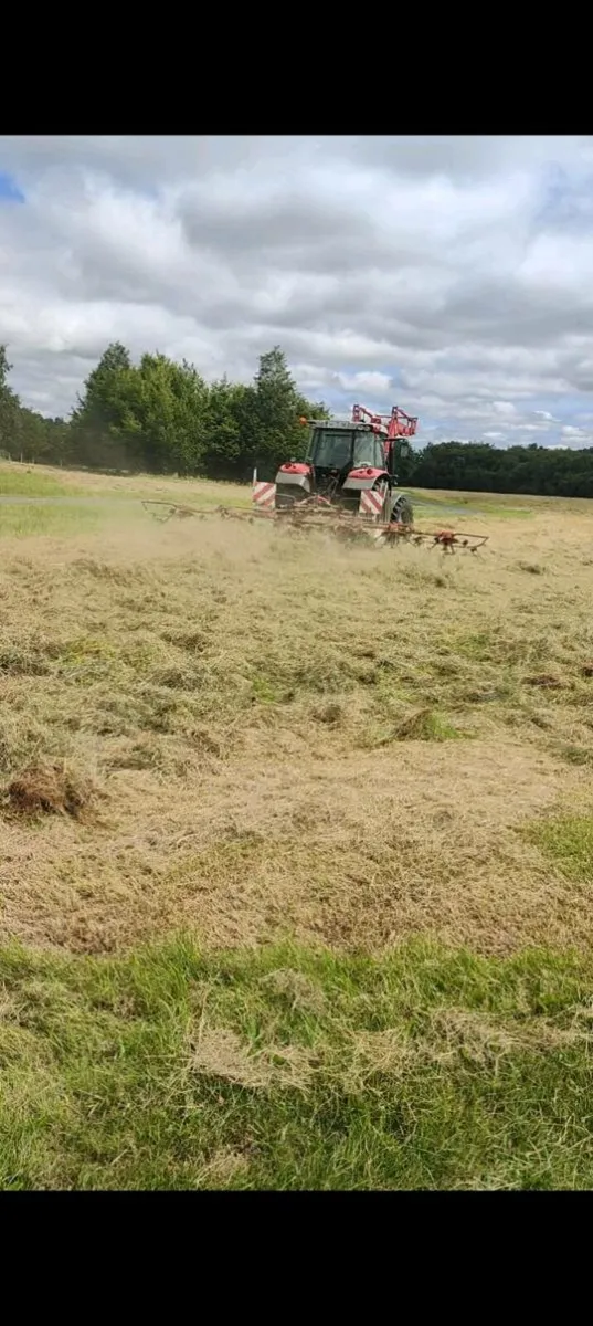 Hay - Image 4
