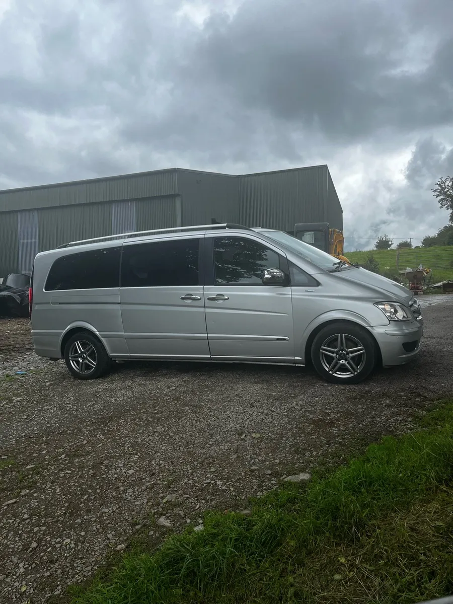 Mercedes Viano - Image 2