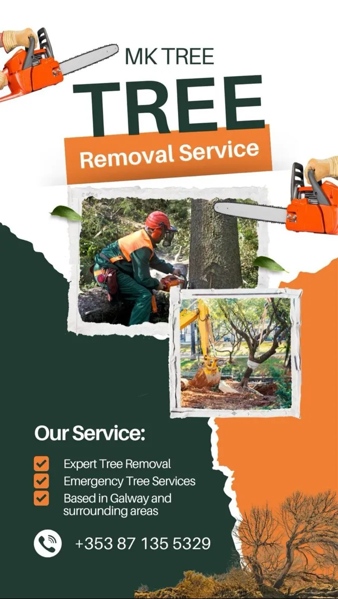 Tree care removal services