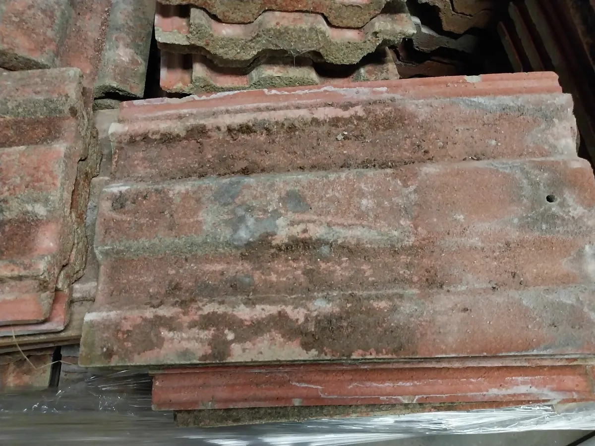 Roof tiles - Image 2
