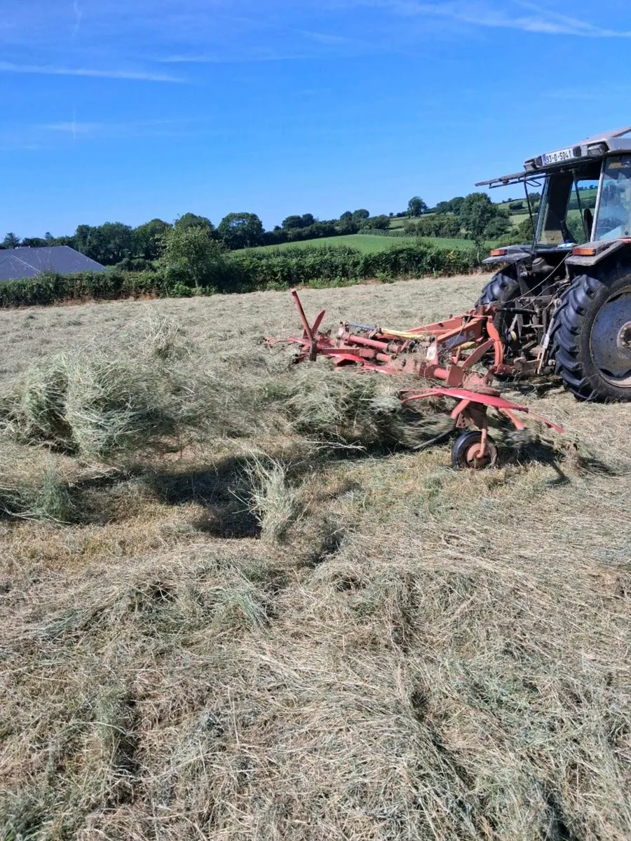 Hay round bales - Image 3