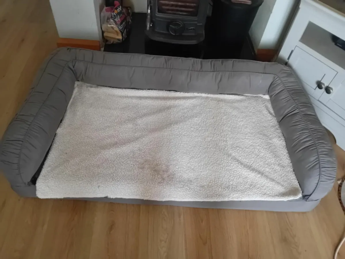 Dog Clearance - Image 4