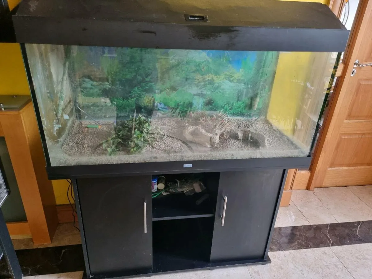 Fish Tank - Image 1