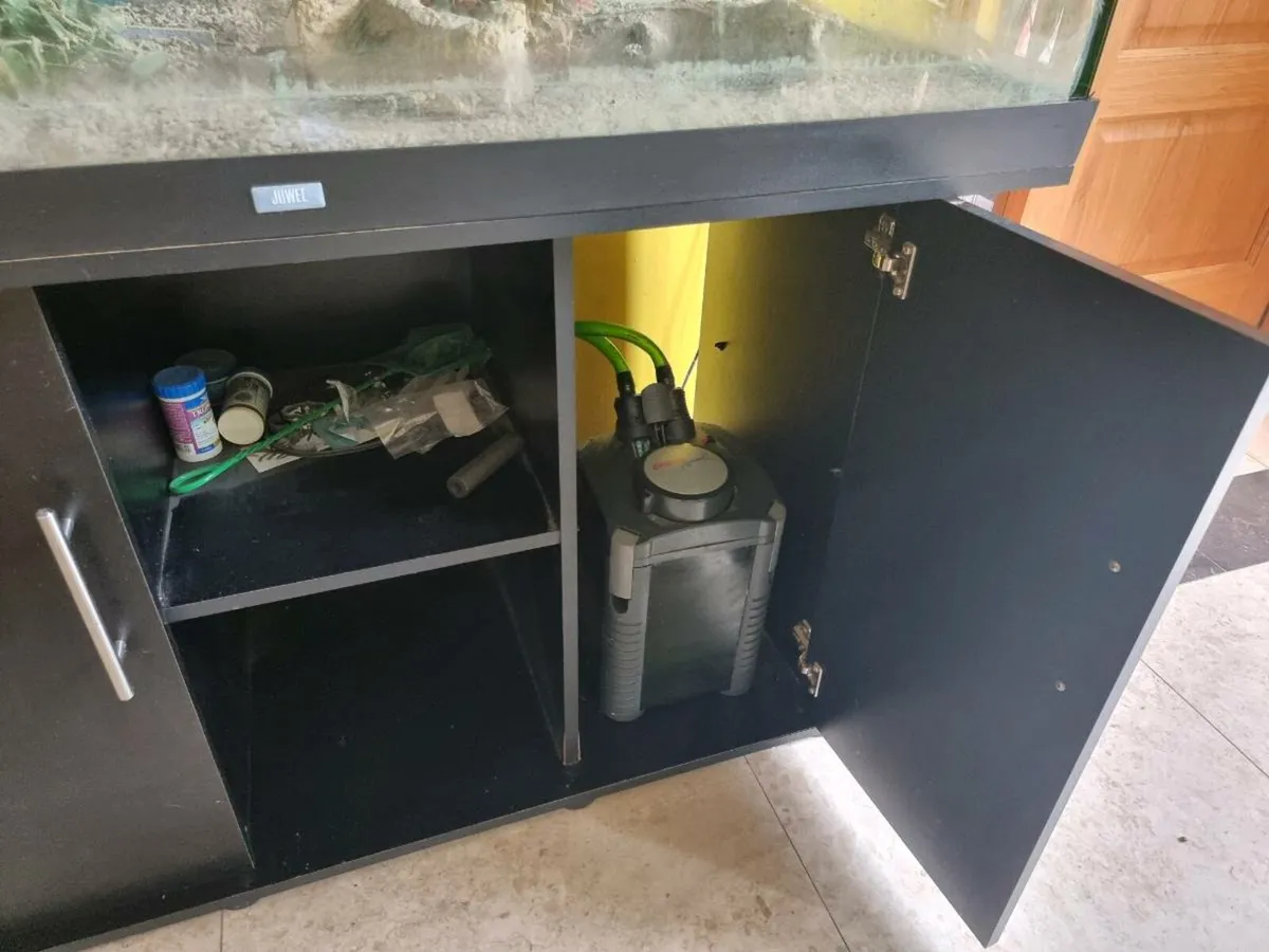 Fish Tank - Image 2