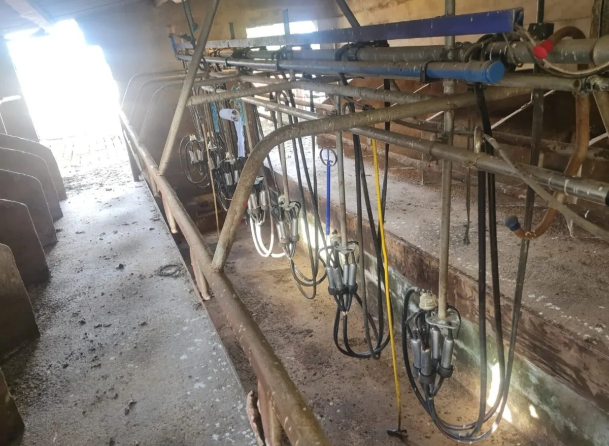 Milking Parlour - Image 2