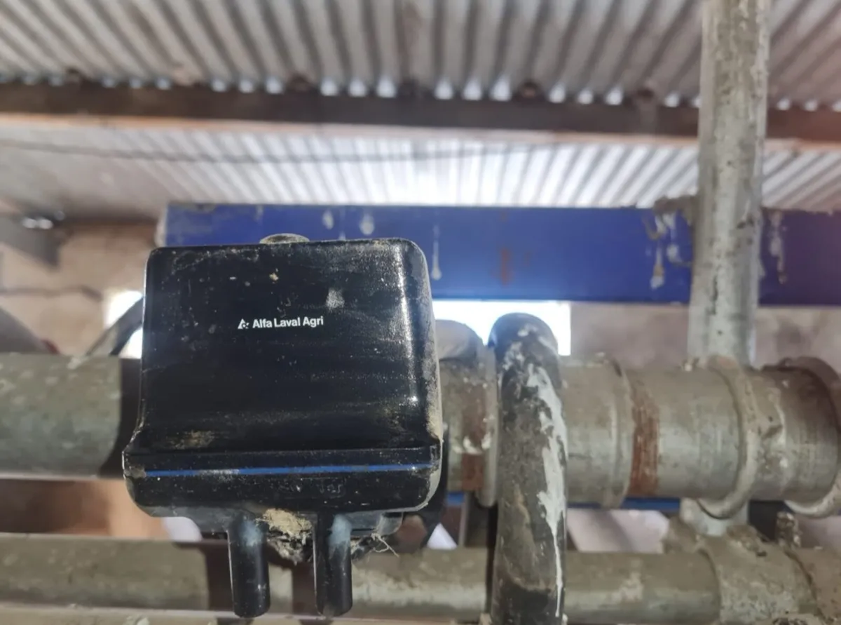 Milking Parlour - Image 3