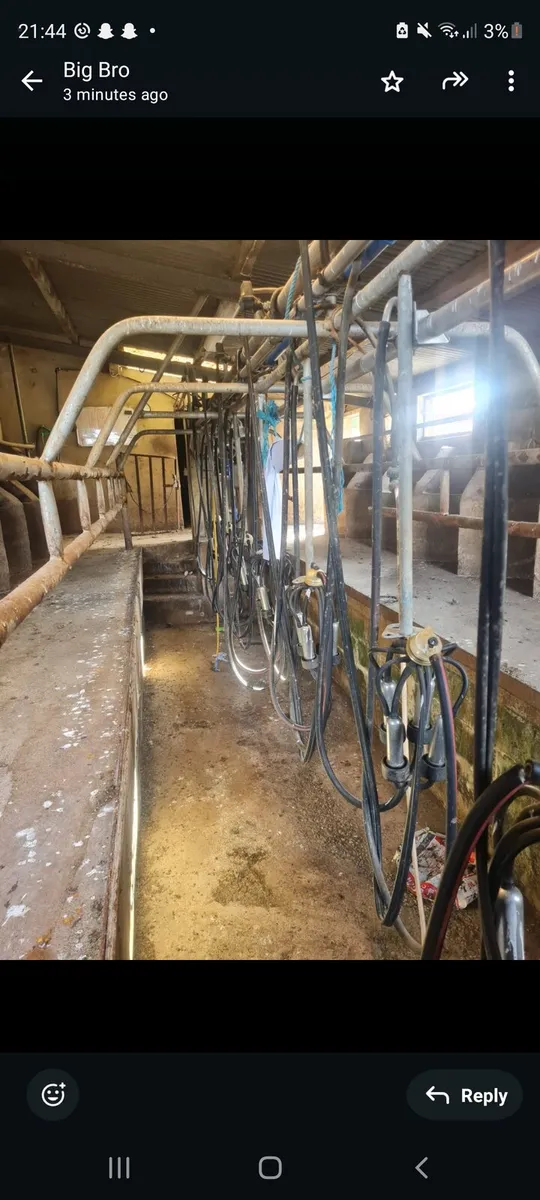 Milking Parlour - Image 4