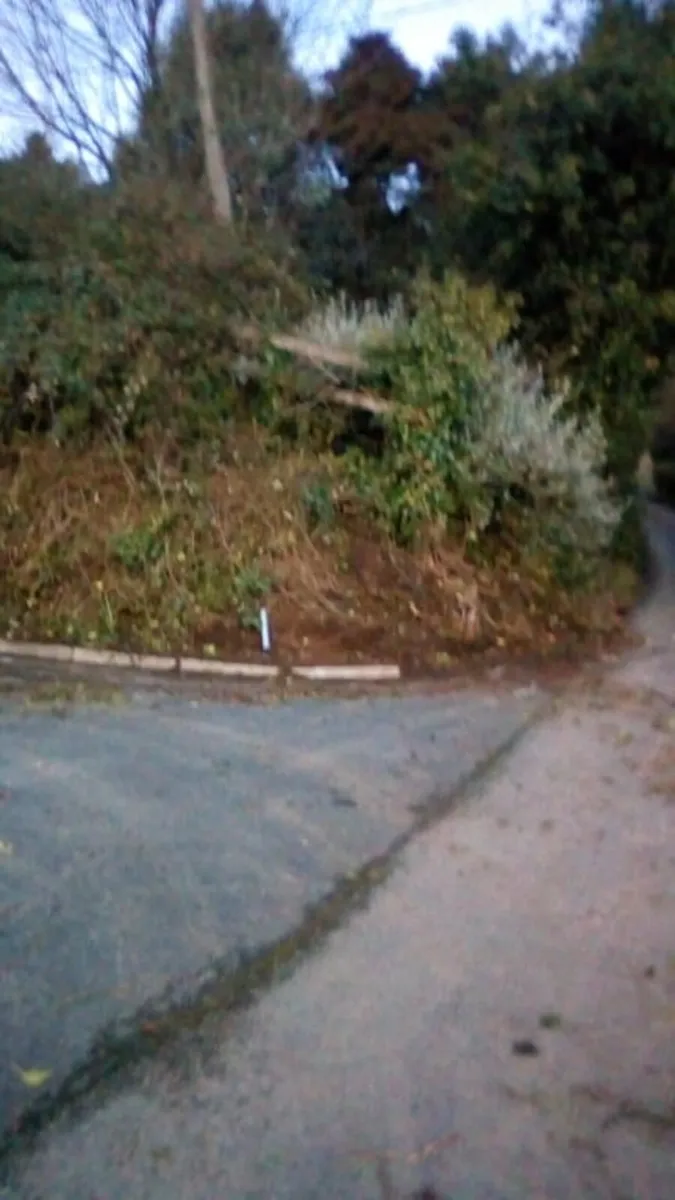 Diggers with drivers all work carried out - Image 1