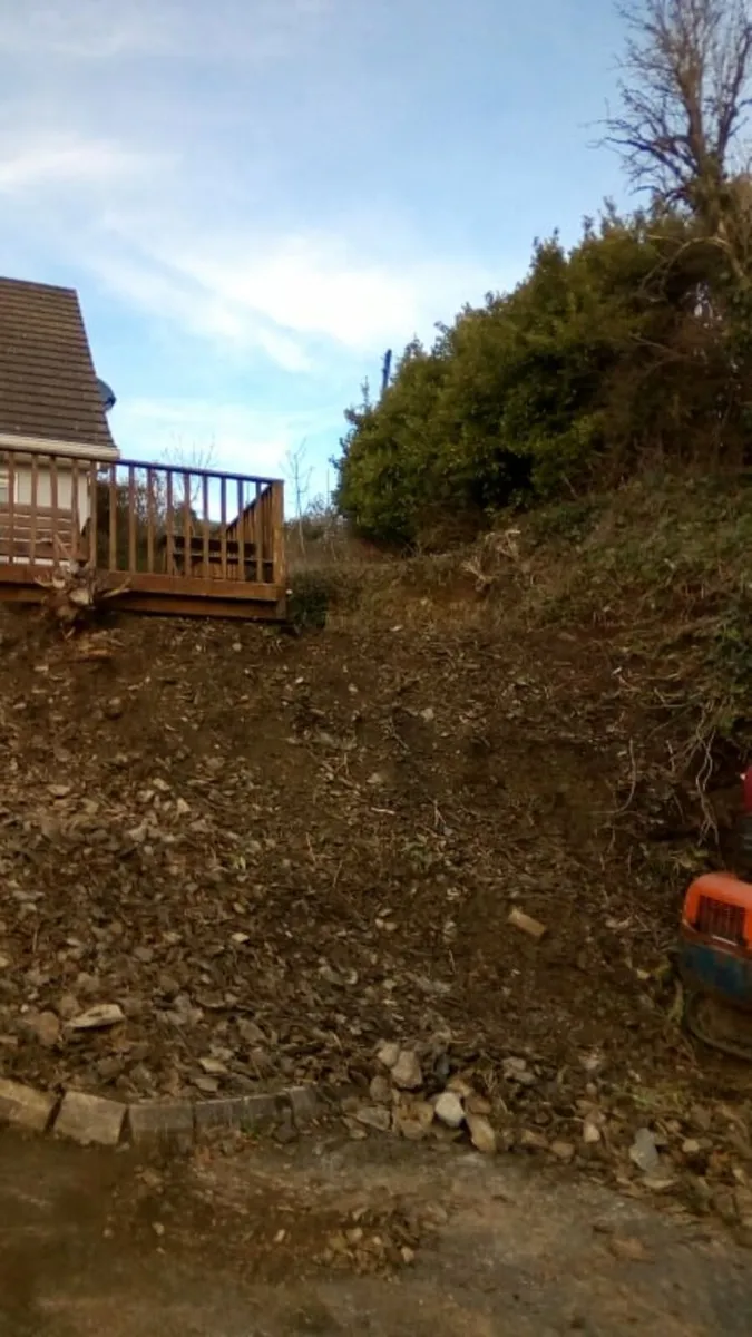 Diggers with drivers all work carried out - Image 3