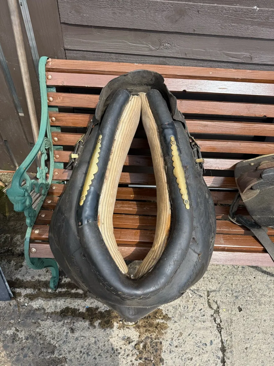 Horse cart equipment vintage - Image 4
