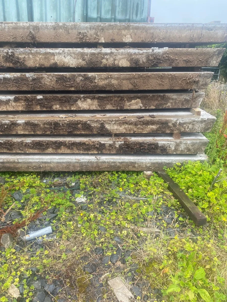 Cattle slats - Image 3