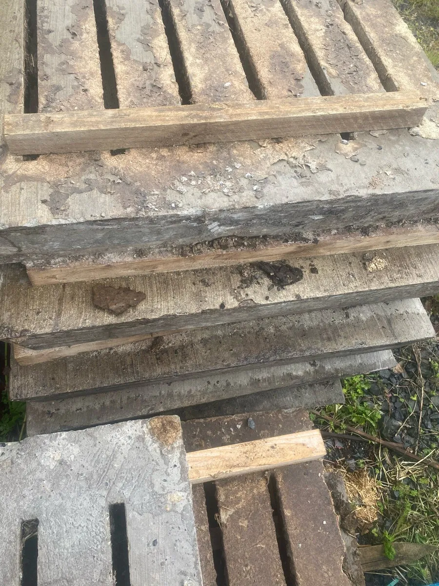 Cattle slats - Image 4
