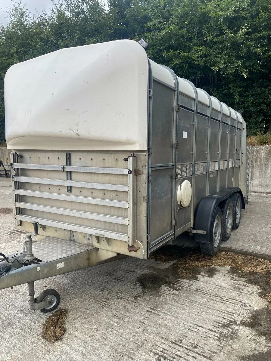 Iforwilliams 14X5'10 cattle and sheep trailer. - Image 1