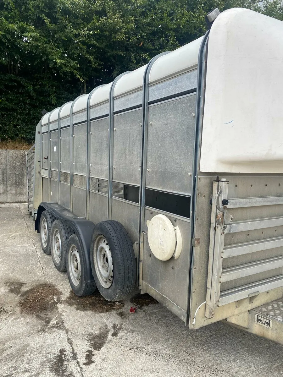 Iforwilliams 14X5'10 cattle and sheep trailer. - Image 2