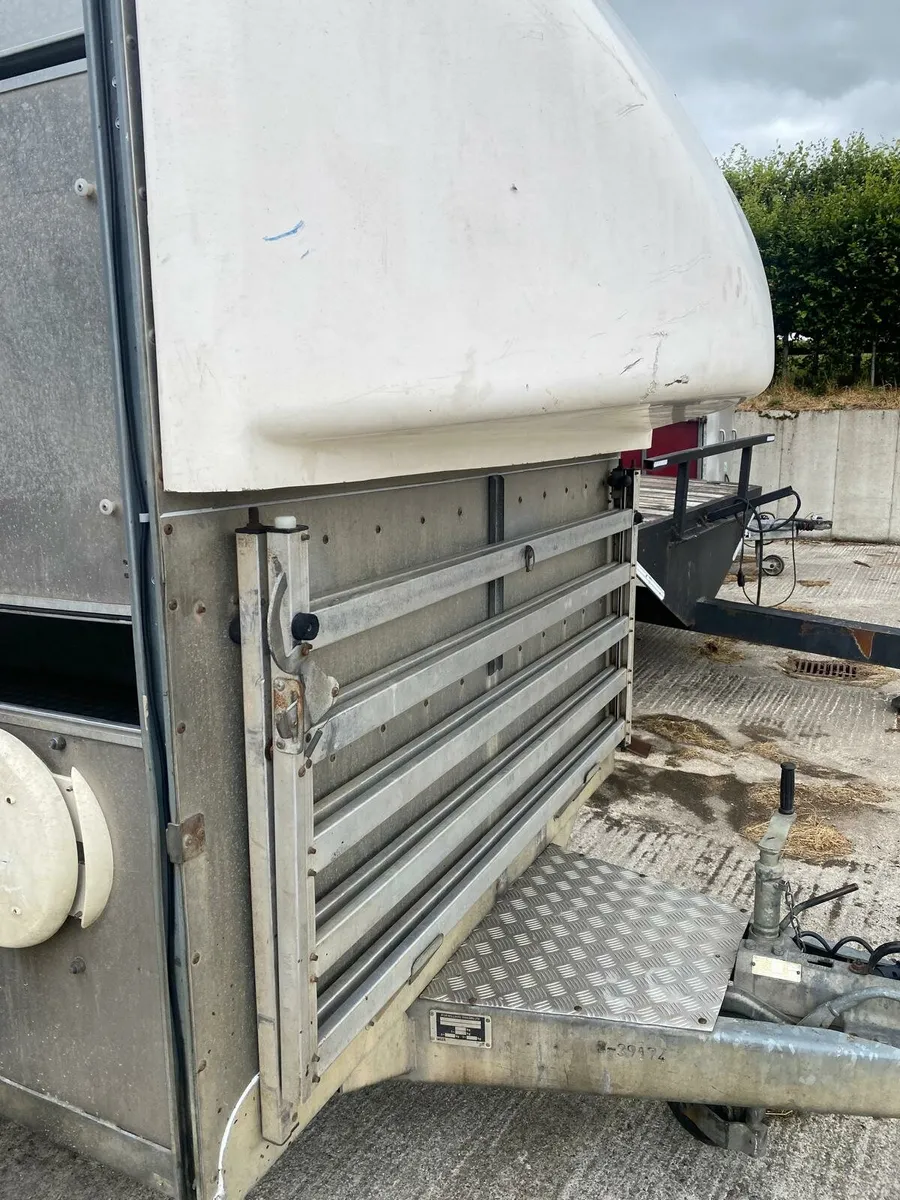 Iforwilliams 14X5'10 cattle and sheep trailer. - Image 3