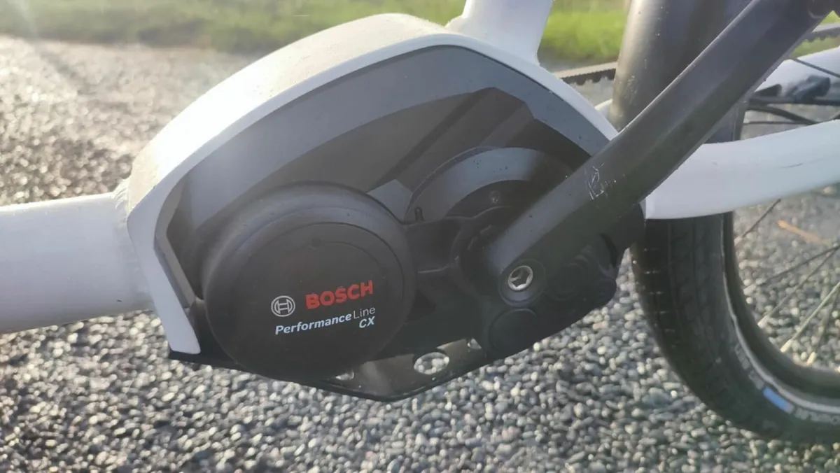 bicycle service for normal and eBIKE - Image 1