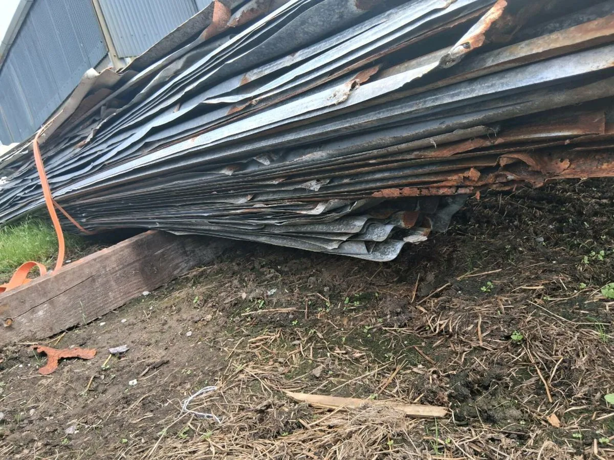 Old shed being dismantled - Image 1