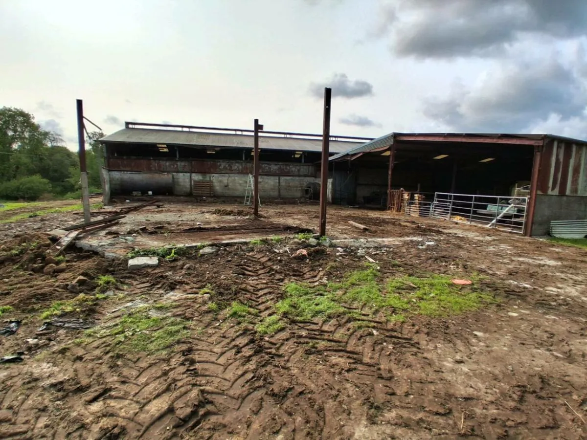 Old shed being dismantled - Image 4