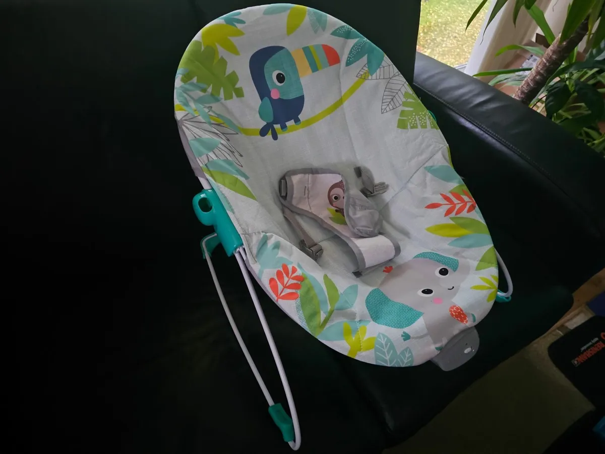 Baby bouncer seat - Image 2