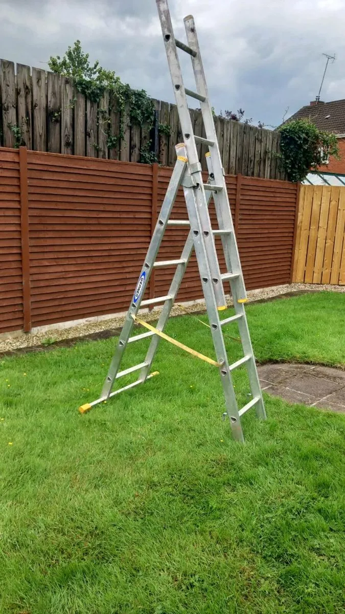Werner triple ladder - Image 1