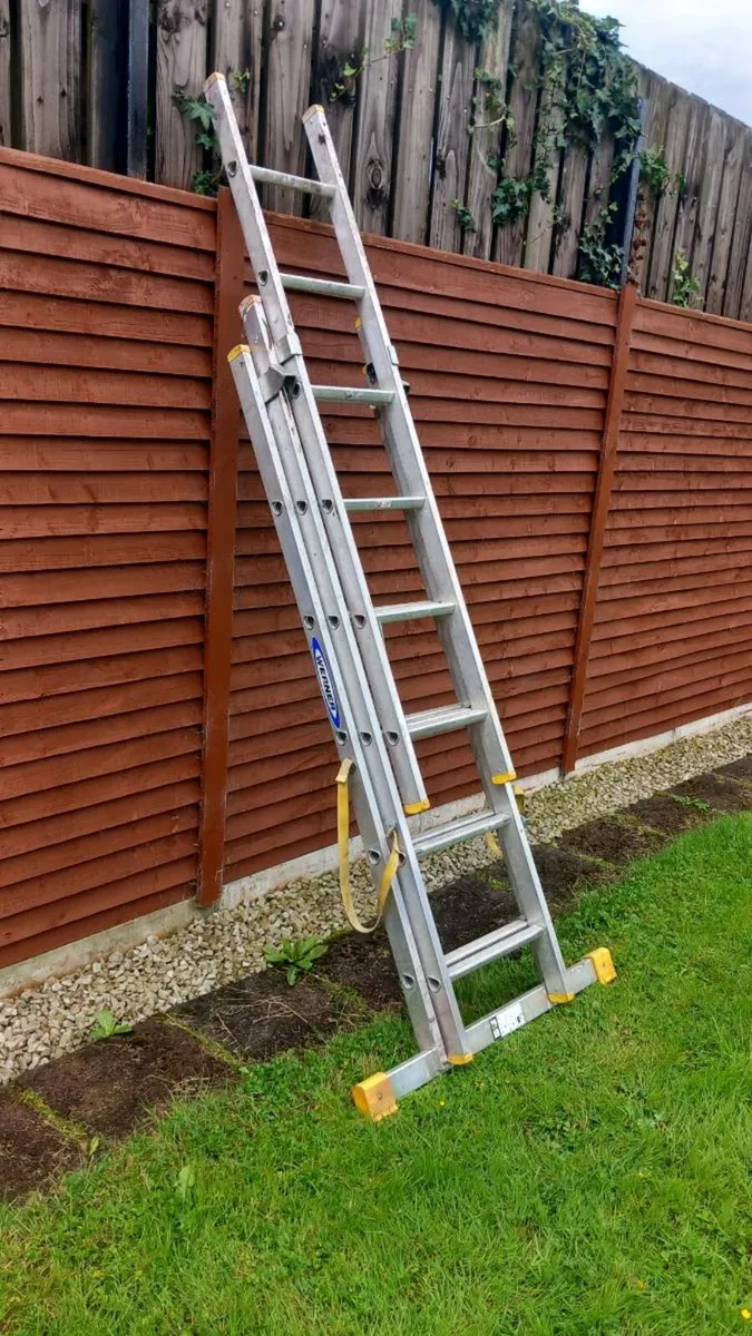 Werner triple ladder - Image 3