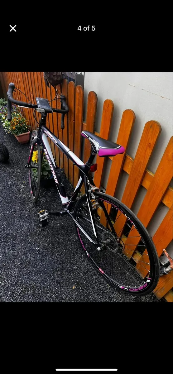 Bentini Women's Road Bike - Image 2