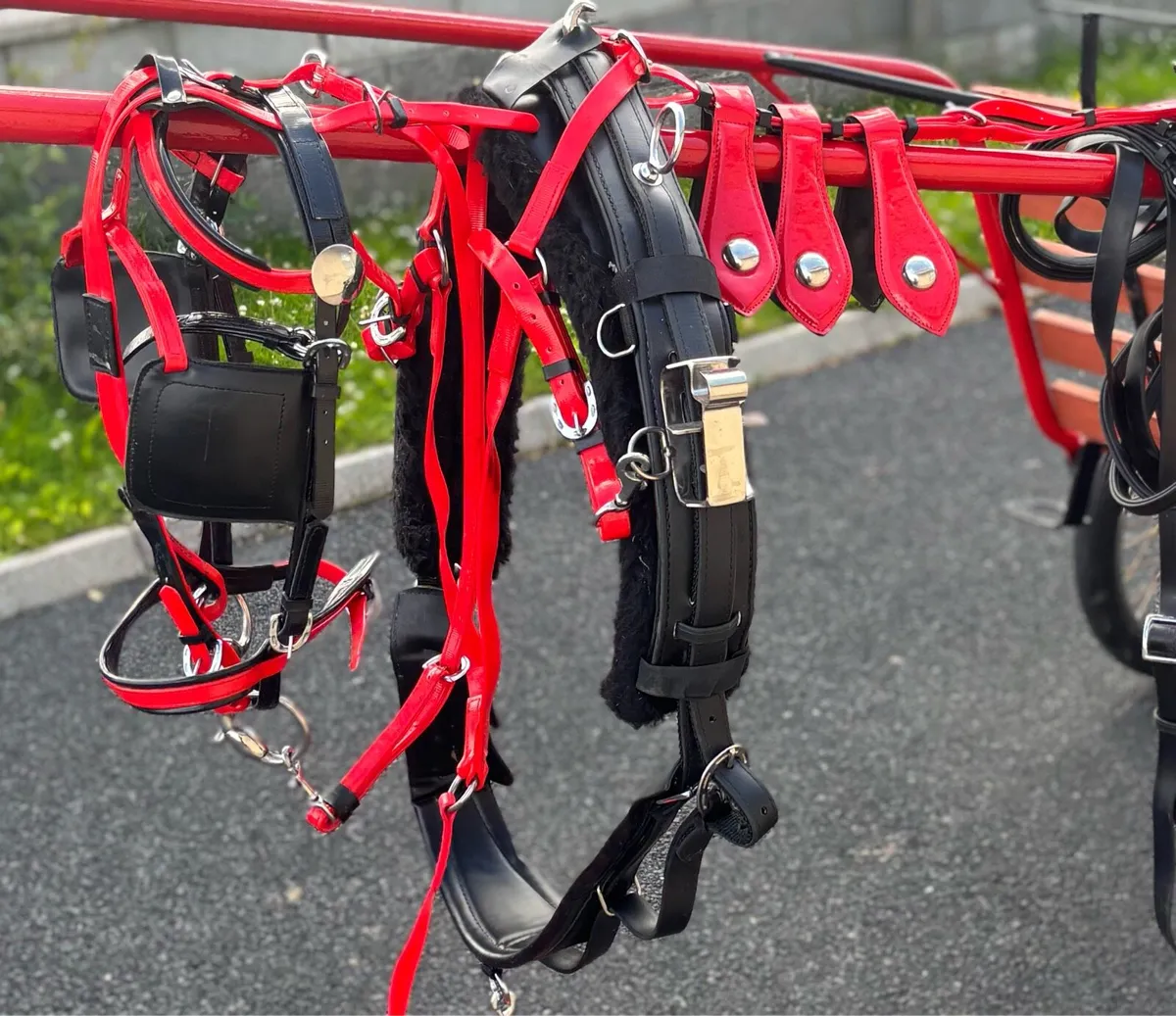 Brand new Quick itch Harness - Image 1