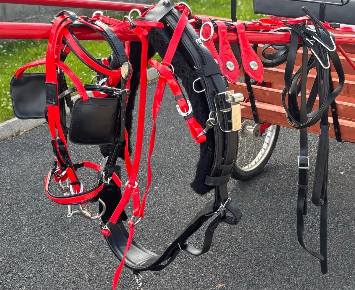 Brand new Quick itch Harness - Image 2