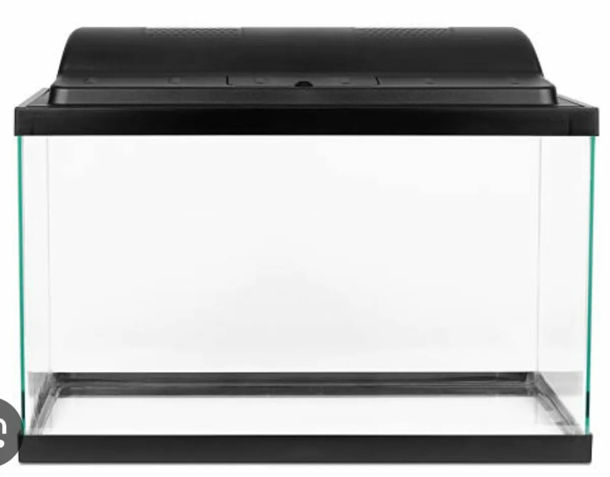 Fish tank