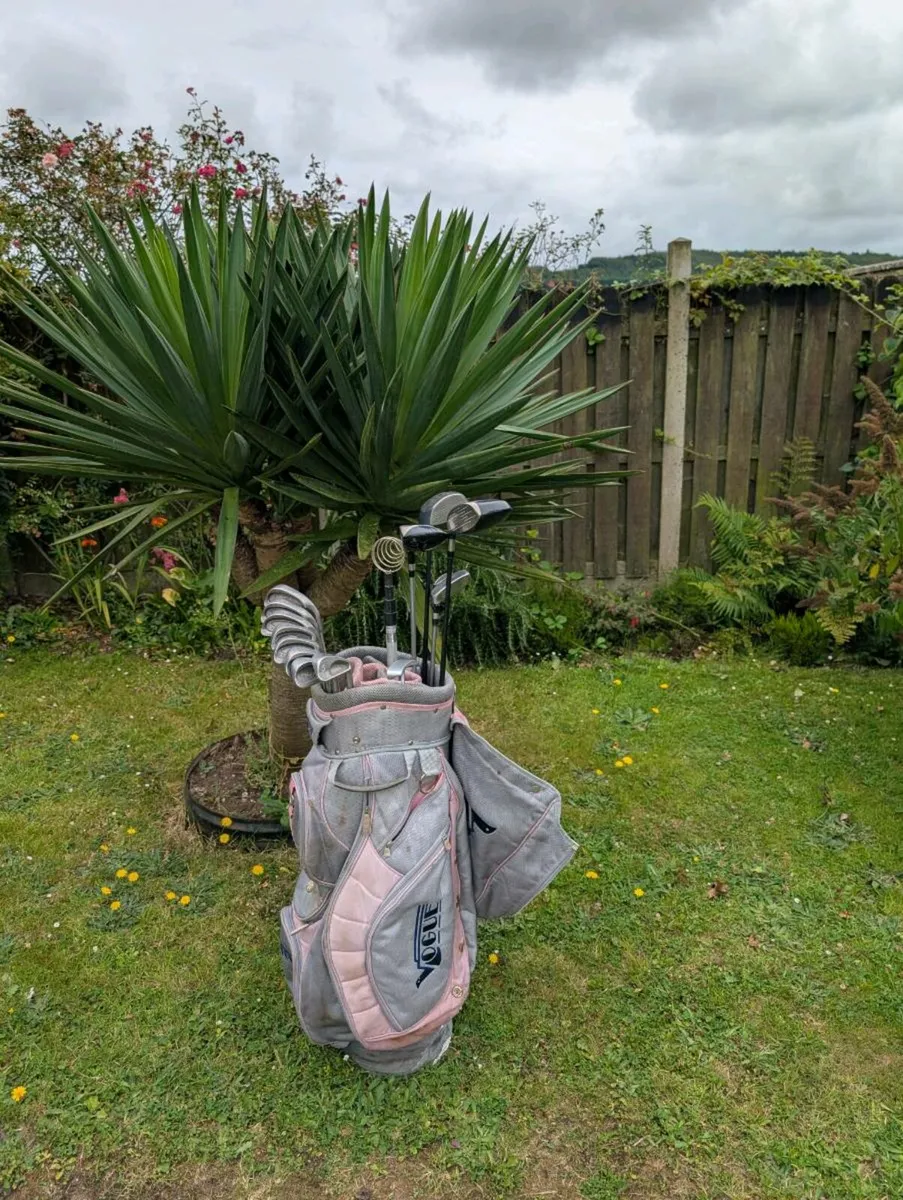 Ping Golf clubs - Image 2