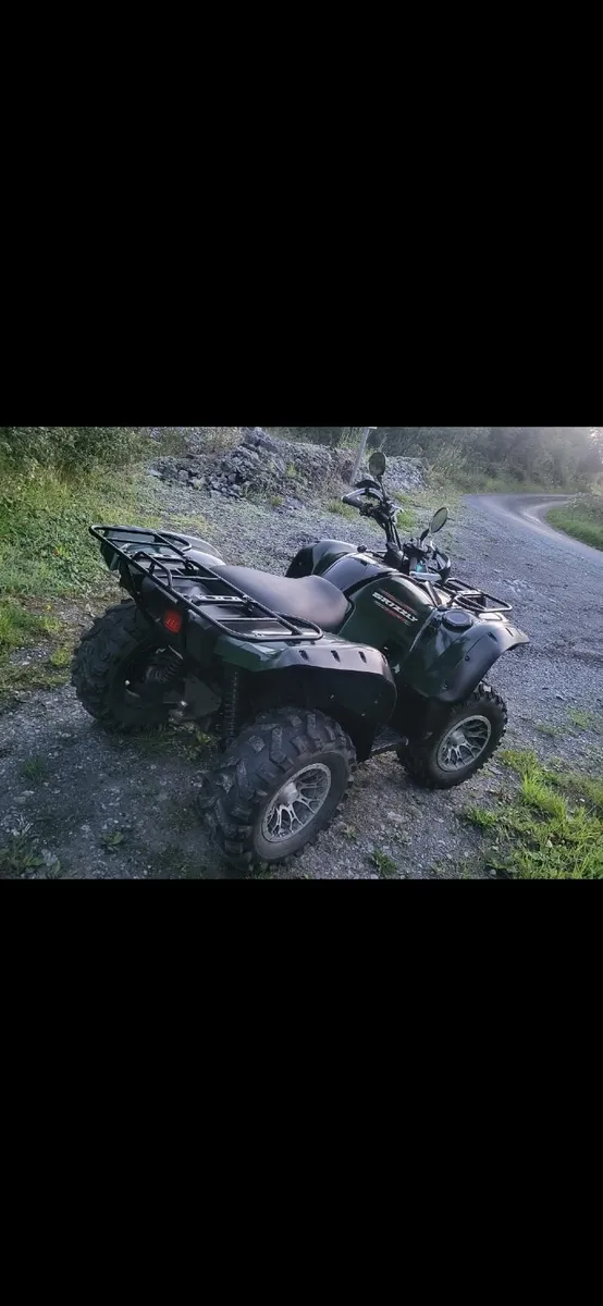 Quad Bike - Image 1