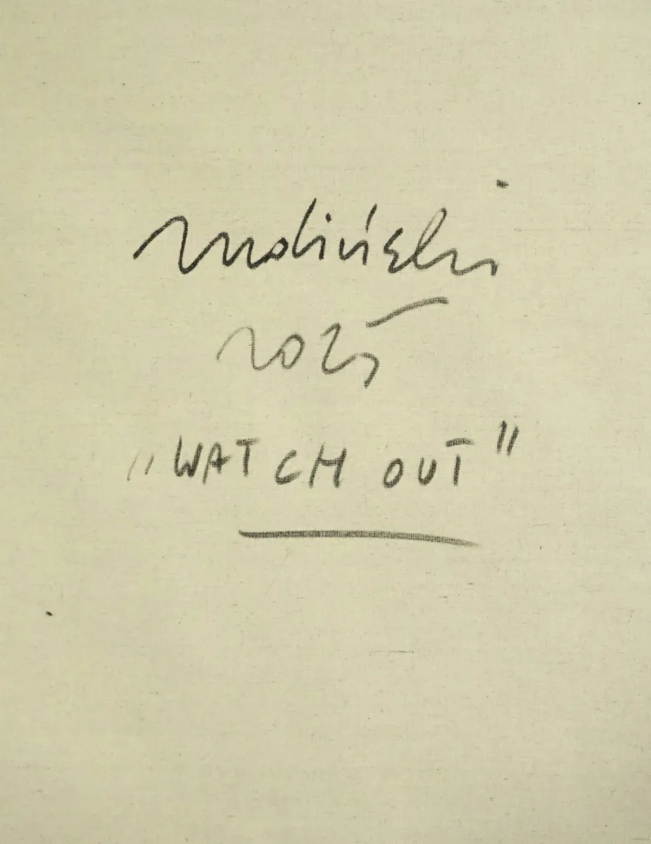 Waldemar Zwolinski - Watch out - Image 2