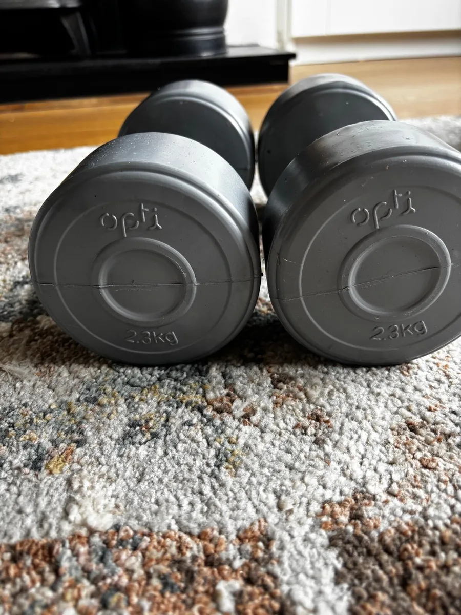 Dumbbells - Image 2