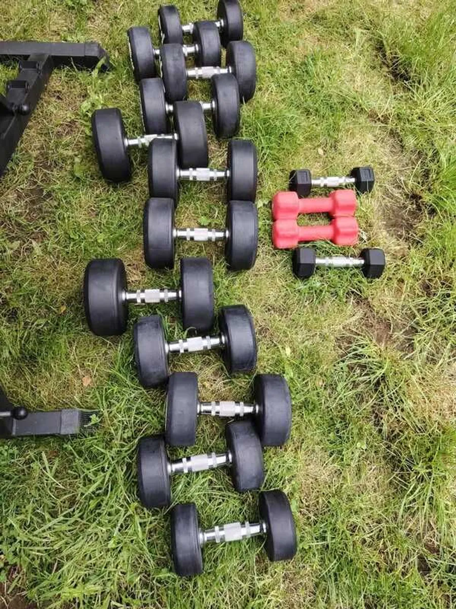 Weights Dumbells and bench - Image 3