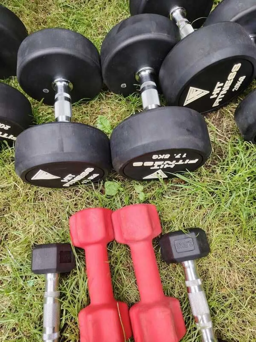 Weights Dumbells and bench - Image 4
