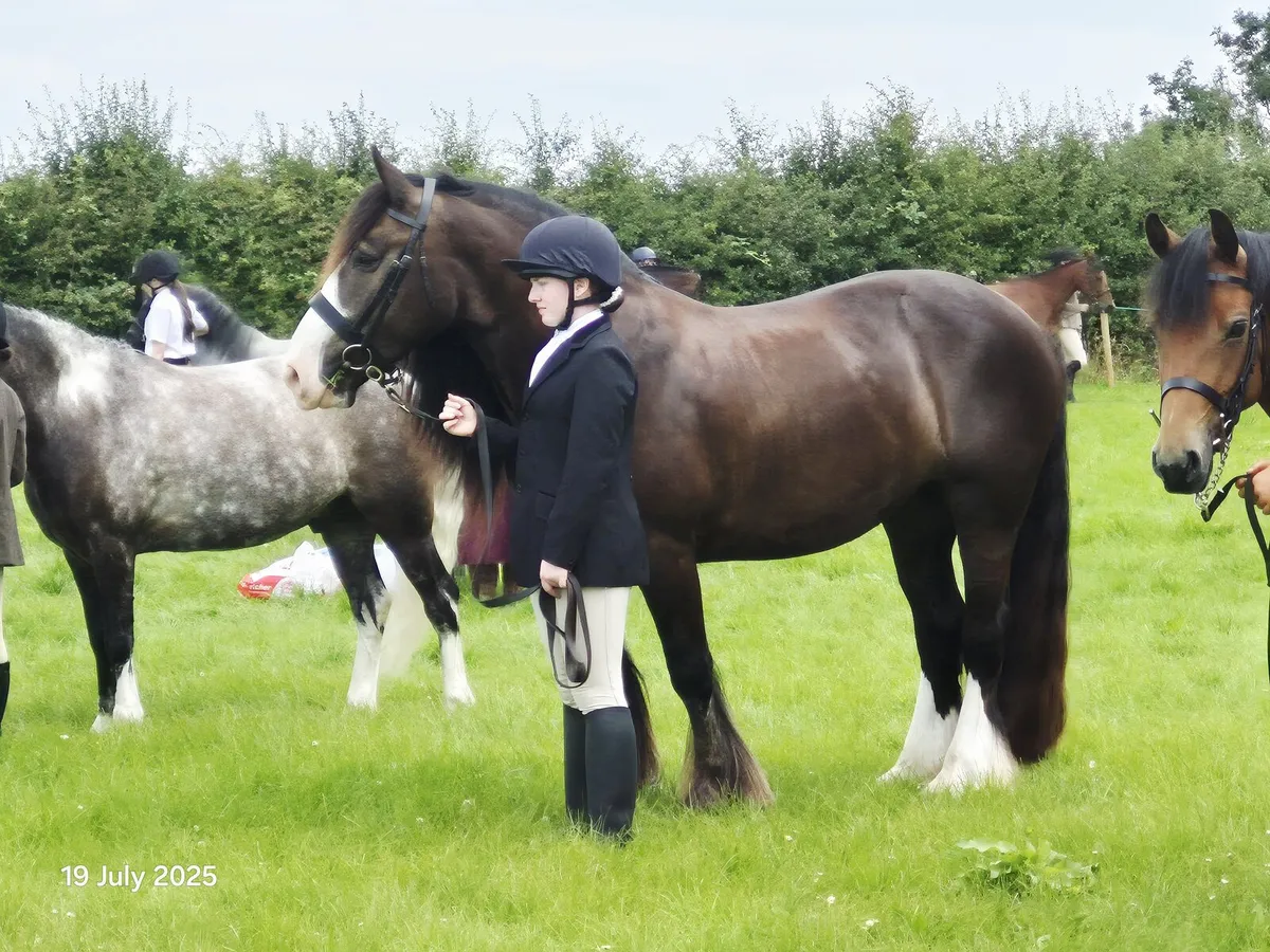 Lady ⭐️ Show Quality and Super hacking cob ⭐️ - Image 3