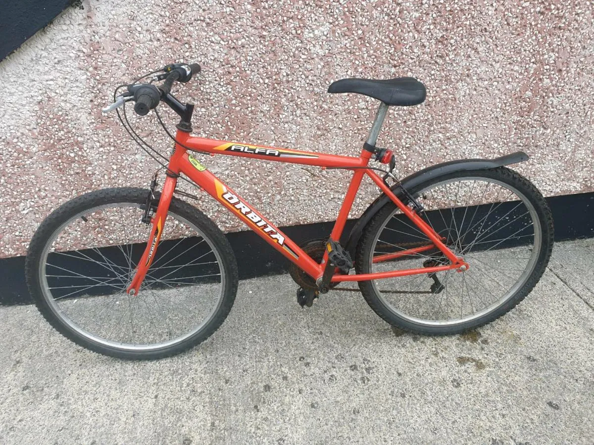ADULTS BIKE - Image 1