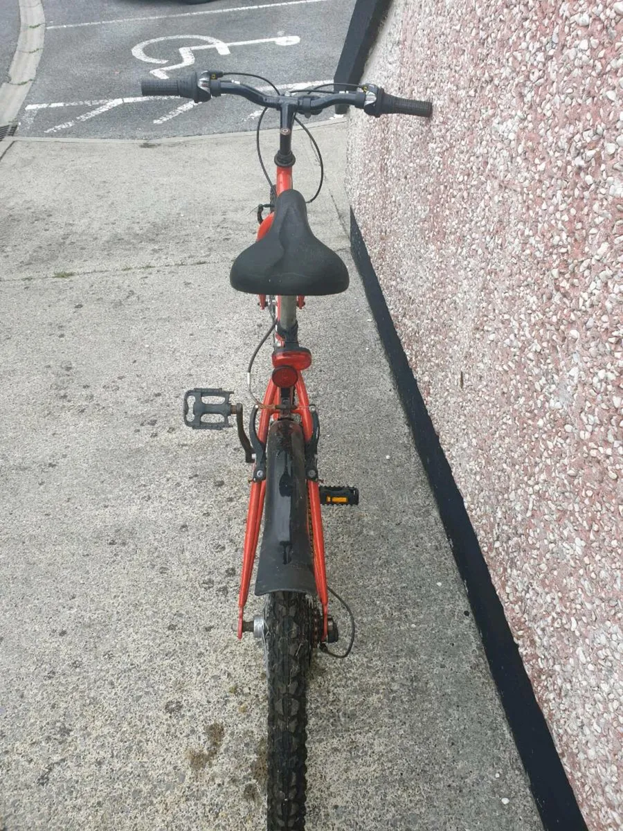 ADULTS BIKE - Image 2