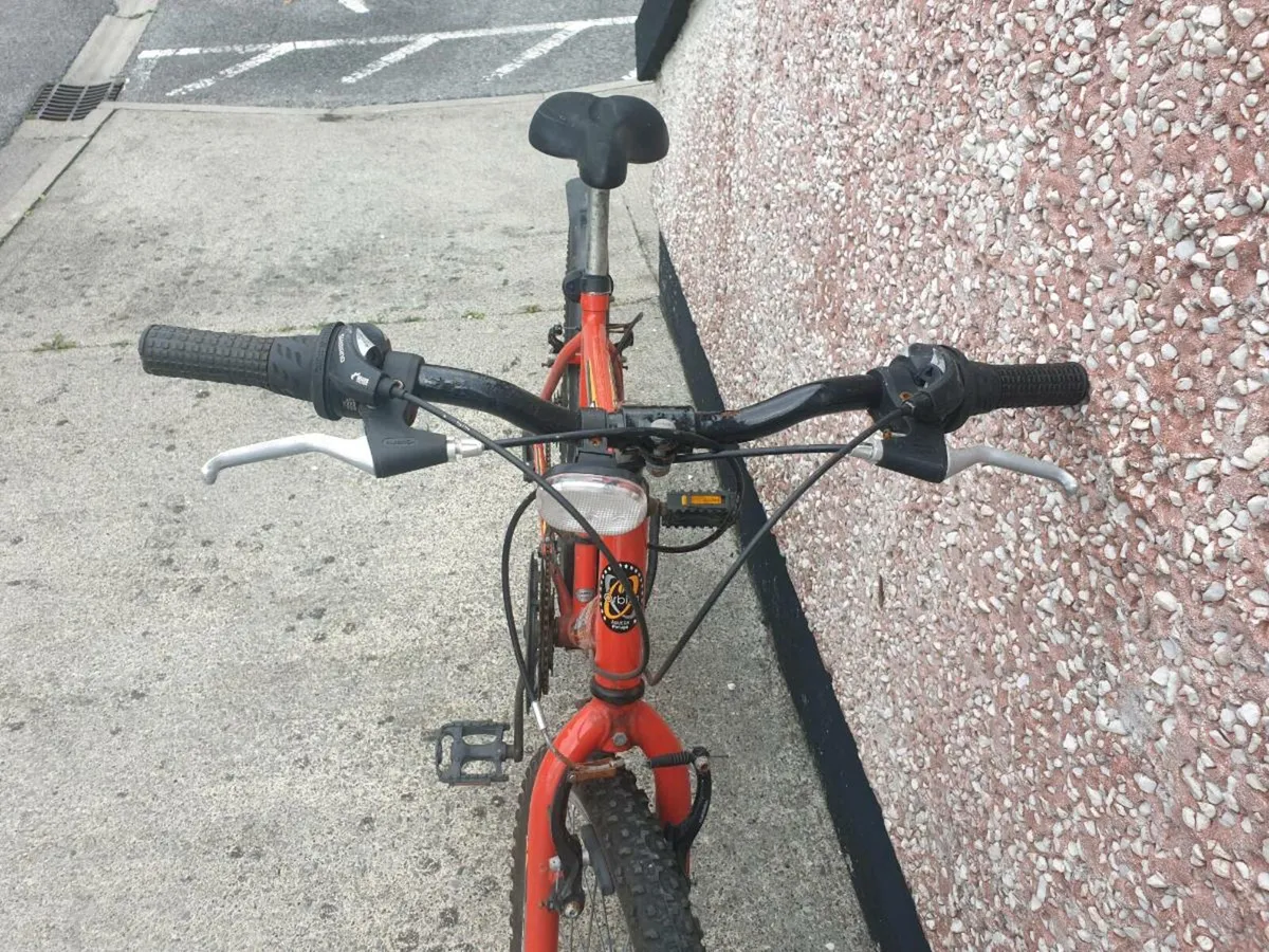 ADULTS BIKE - Image 3