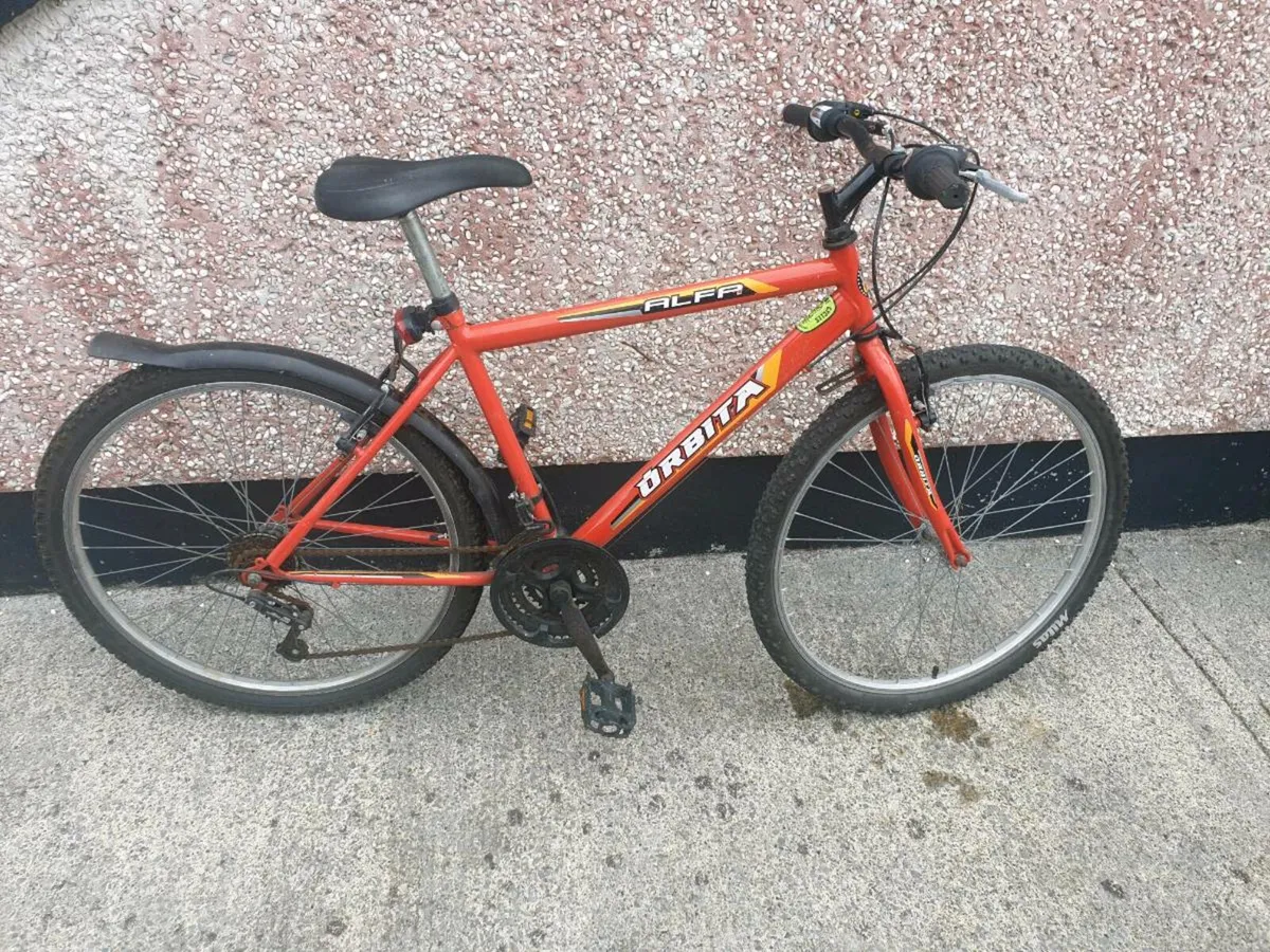 ADULTS BIKE - Image 4