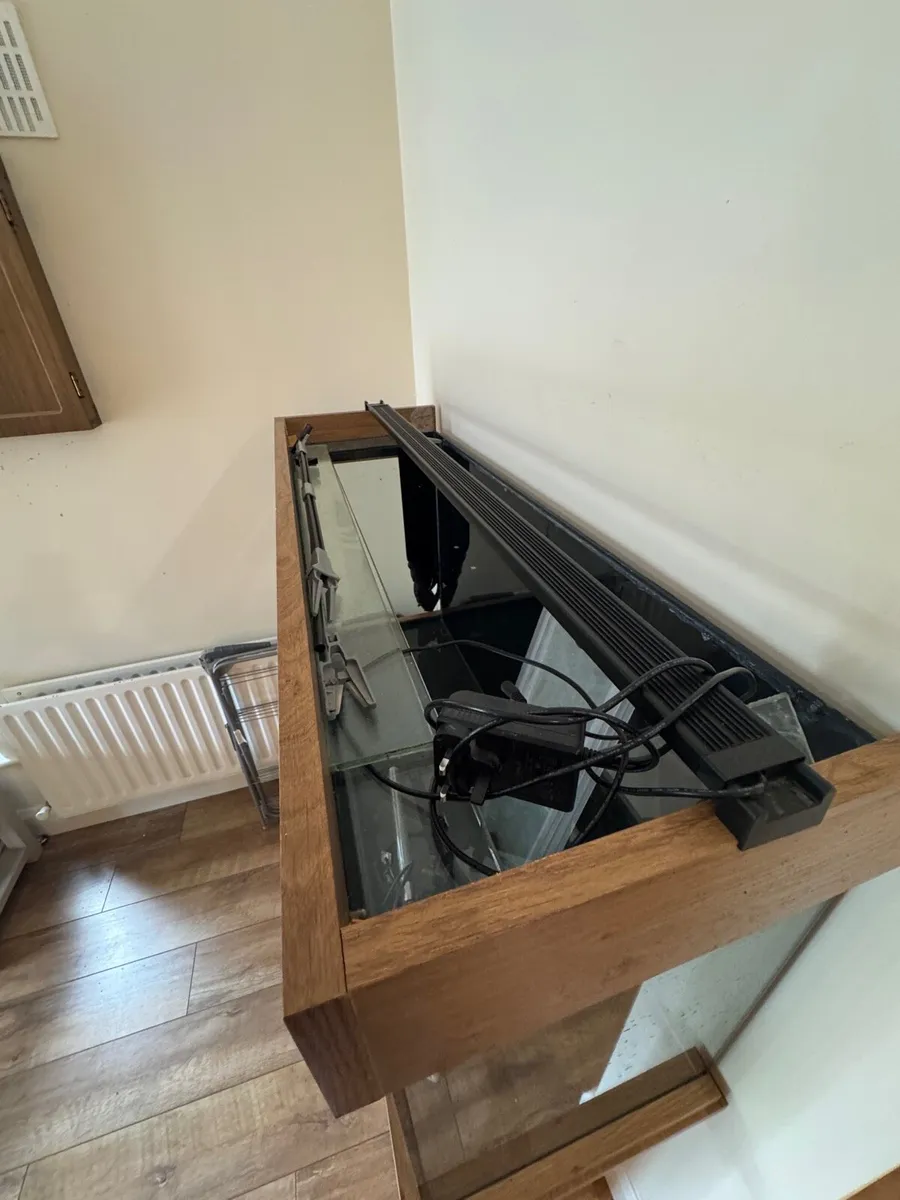 230L tank and stand - Image 2