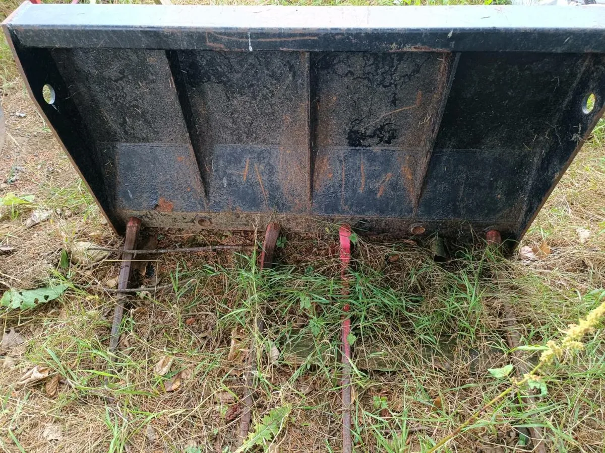 Dung fork - Image 2