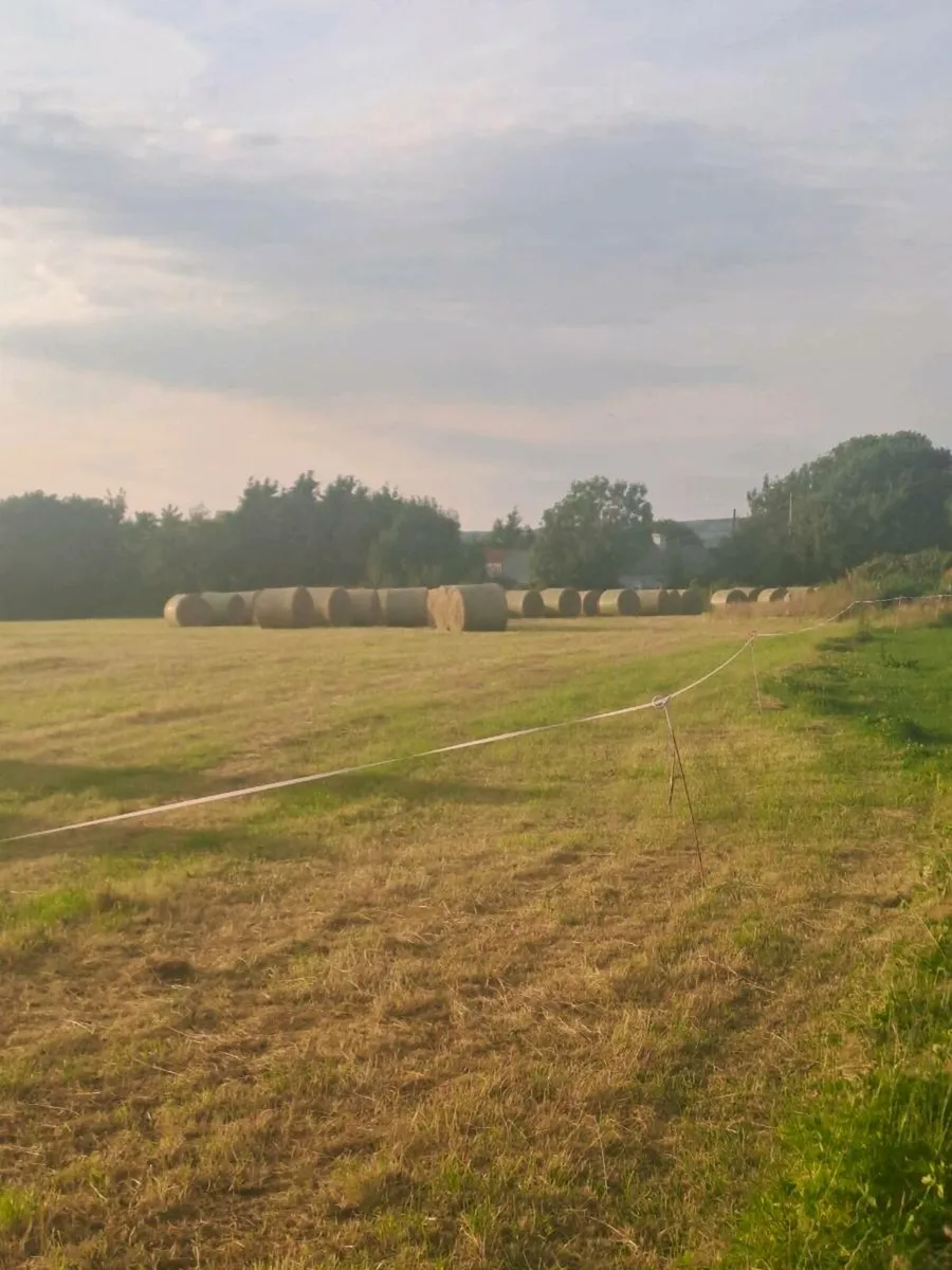 Round bales of Hay - Image 4