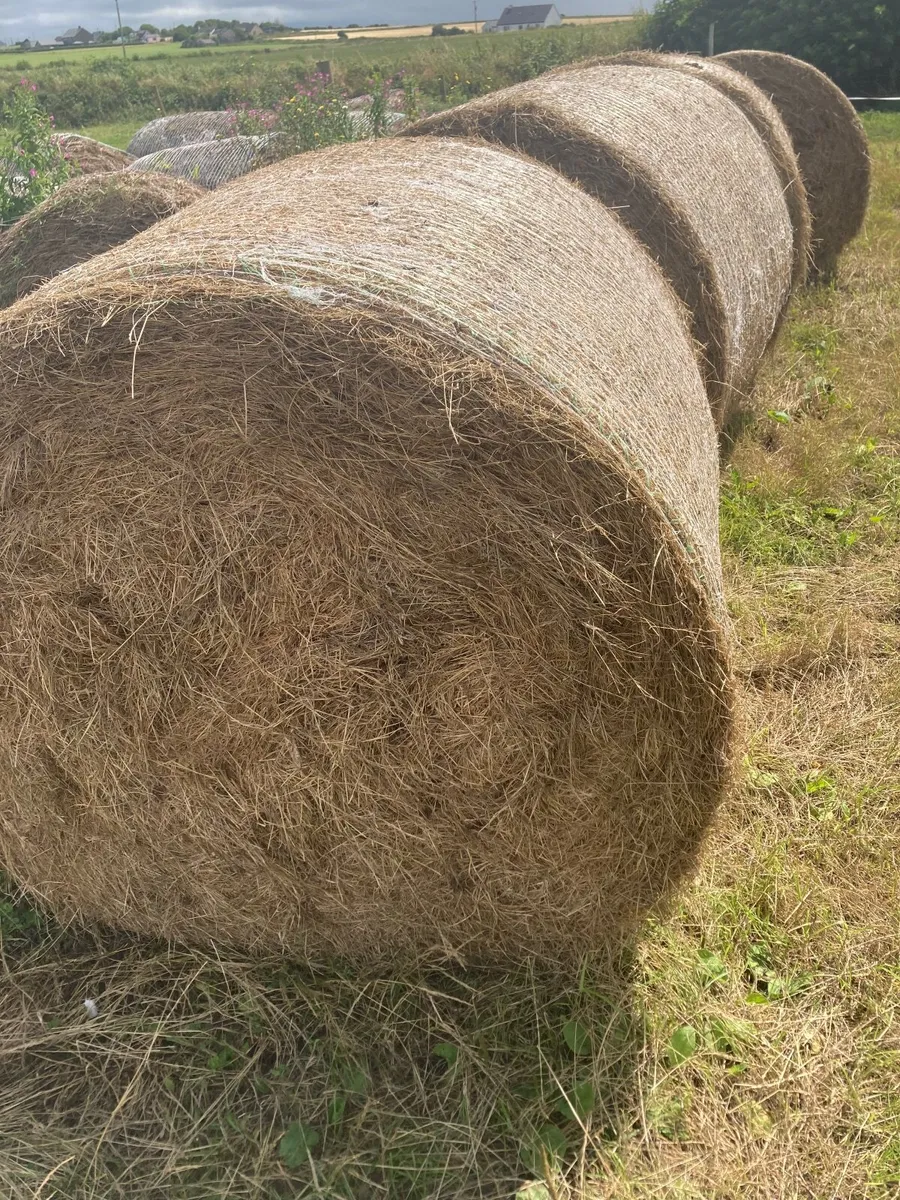 16 Organic round bales surplus - Image 1